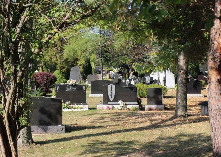 IMG_2693_retouched_blurred-1