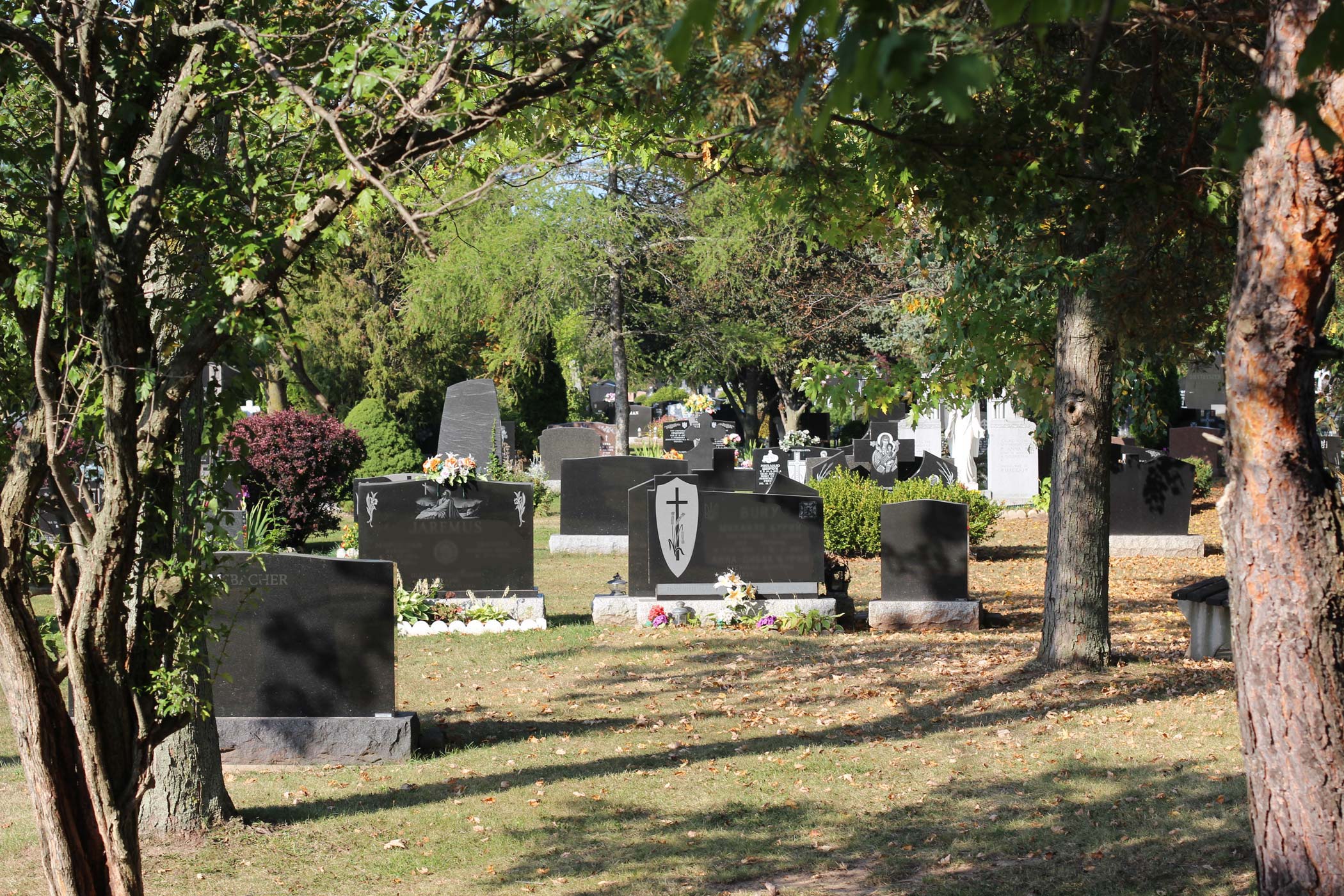 IMG_2693_retouched_blurred-1